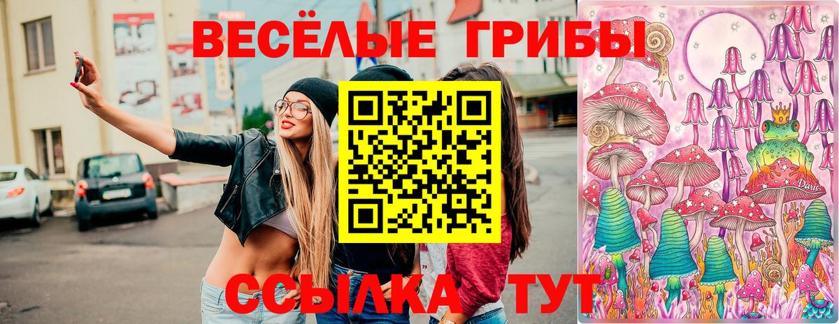 Партизанск  Галлюциногенные грибы MAGIC MUSHROOMS  Вход с VPN 